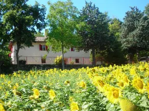Lancianello - Image 4