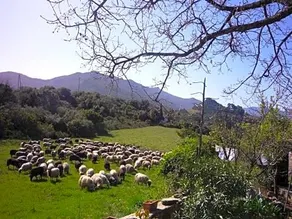 A Camera Di A Vigna - Image 2
