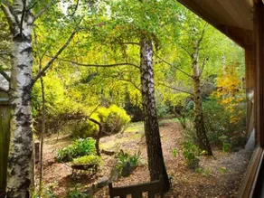Musk Creek Hollow - Musk - Image 3