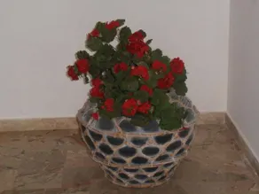Casa Dani - Image 3