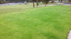 Rest Haven - Image 4