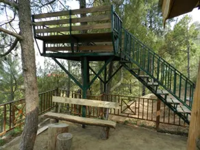 Nature Stay - Image 4