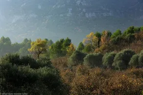 Casa Rural LEra - Image 4