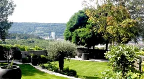 Colle Divino - Image 4