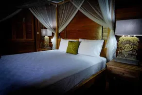 Alam Taman Villa - Image 5