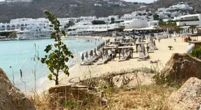 Mykonos Le Grand Bleu Beachfront Suite - Image 4