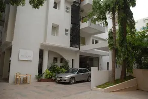 Brunton Aster - Image 2
