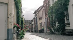 DO-DO te Lier - Image 5