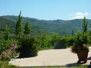 La Molinella - Image 5