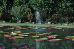 CICO Resort - Image 3