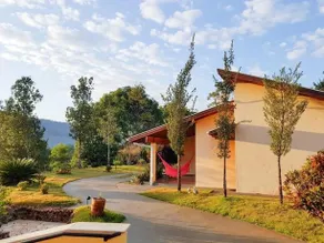 Peroba Rosa - Image 1