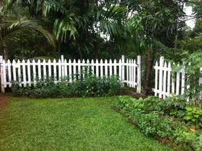 Knuckles Homestay - Image 2