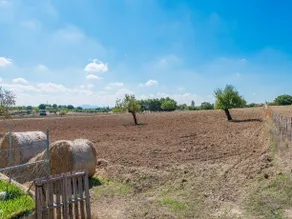 GRANJA - Image 3