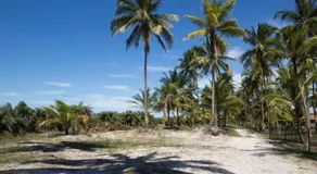 Casa de Praia Mico Leao - Image 2