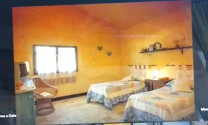 Tenuta Grea - Image 5
