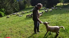 Ferme Auberge Briassou - Image 5