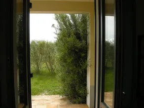 Tenuta Recchi Franceschini - Image 3