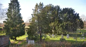 Tarras - Image 3
