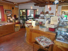 Qui Wolf Udine - Image 3