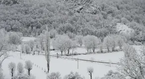 Duplex Barruera Immovall - Image 3