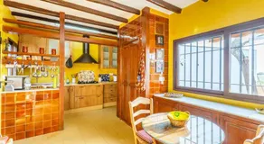CASA RURAL SEVILLA, OLIVARES - Image 2