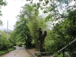 Shanlirenjia Inn Sanqingshan - Image 4