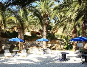 Le Palme Vacanze - Image 5