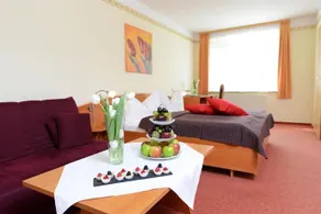 Landgasthof & Hotel Goldenes Herz - Image 5