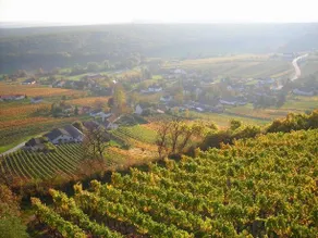 Kellerstockl Kamper - Image 3