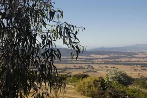 The Vision Splendid - Image 5