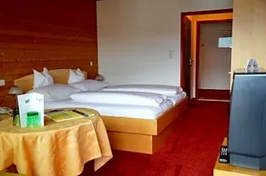 Hotel Gasthof Hirschen - Image 3