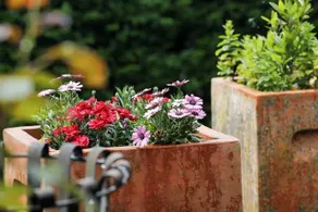 B&B de Camerling - Image 2