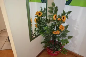 Lily Room - Image 2