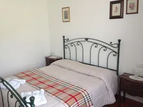 L'agave cinque terre - Image 3