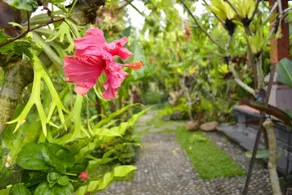 Way Ubud Garden House - Image 4