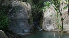 Casa La Chelva - Image 4