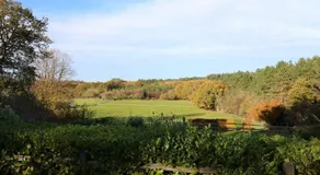 Long Meadow - Image 3