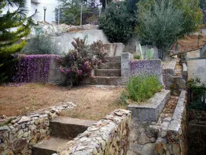 Le Orchidee Sardegna - Image 5