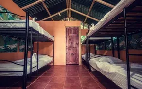 Corcovado Jungle Hostel - Image 4