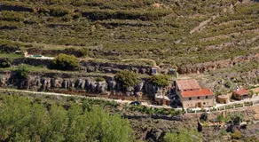 La Covarxella - Image 2