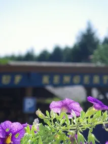 Country Camp camping Auf Kengert - Image 4