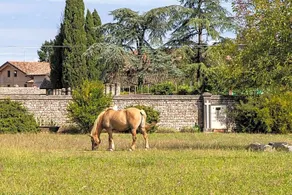 Casa Ariis - Image 2