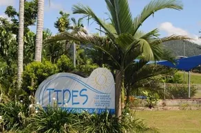 Tides at Mission - Image 5