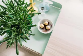 Nanette’s Appartementen - Image 3