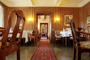 Schwan - Image 1