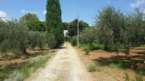 Casina di Seggio fiorito - Image 5