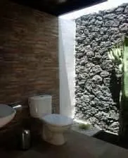 Amicia - Image 3