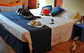 Eco Hotel - Image 4