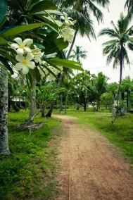 RETREAT CHILAW - Image 2