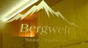 Haus Bergwelt - Appartements - Image 3